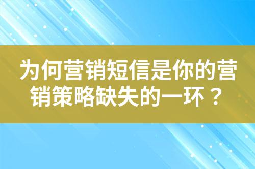 為何營(yíng)銷(xiāo)短信是你的營(yíng)銷(xiāo)策略缺失的一環(huán)？