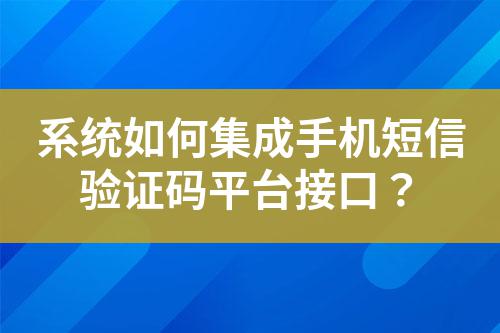 系統如何集成手機短信驗證碼平臺接口？